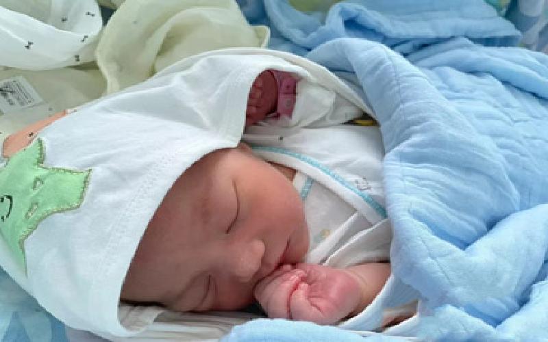 试管专家杨菁代生