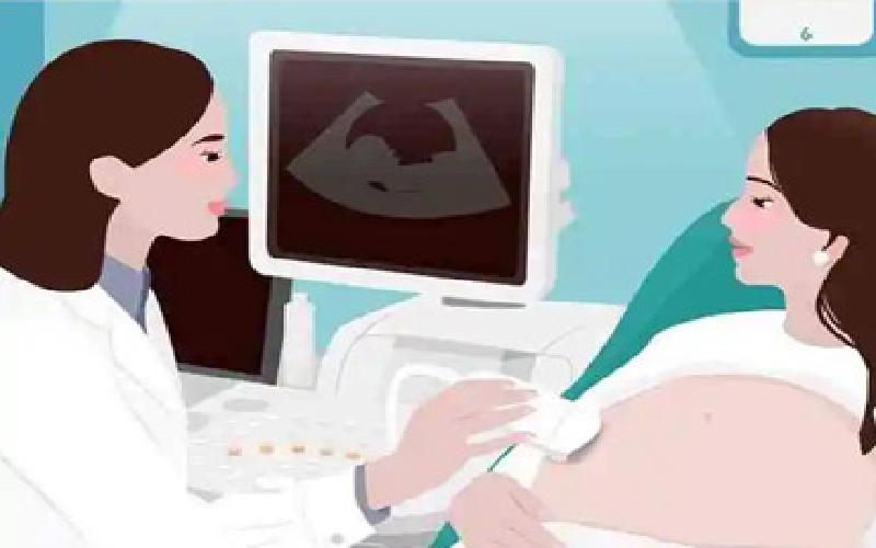 试管游戏80关代生