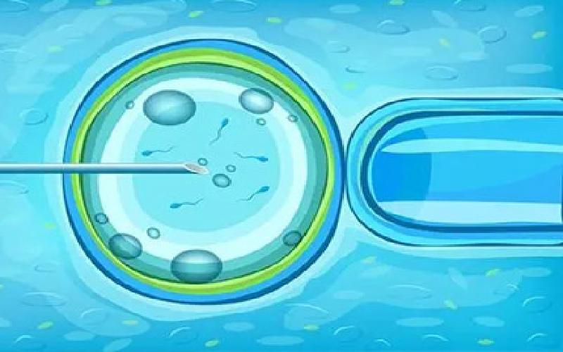 试管卵泡能长到多大代生